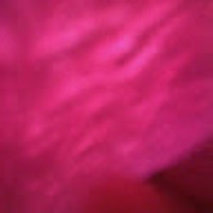 Meet your Posher, Majestic